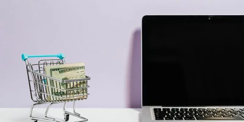 E-Commerce Growth Campaign: Marketing case study by Biznyss